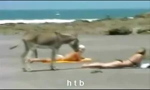 Một cô gái thích thủ dâm nhiệt tình và giấc mơ của cực kỳ nóng người đàn ông, vì vậy cô sex nhật ko che ta vào một tình nói chuyện mỗi ngày, và sau đó cho thấy sự quyến rũ của mình trên webcam, và quyến rũ không rõ các anh. Đẹp chó cởi quần áo của mình ngon miệng nữa, sau đó nhấn mạnh mẽ máy rung vào và bắt đầu làm tình với một đồ chơi.