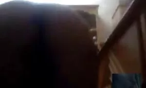 Một người đàn ông trẻ giật mình khổng lồ trong khi ngồi trên ghế, khi màu xanh của mình, bạn trai thấy anh ta. Các đồng ngay lập tức quyết định tiếp tục vui chơi và mất của mình đã cứng thành viên bởi bạn nhật bản không che bè của mình má, hút nó khéo léo, đánh bóng của mình với một tay phải lưỡi và vui vẻ đánh bóng thùng với bàn tay của mình. Một kinh nghiệm tính đánh một tuyệt vời, một người bạn, và thay thế của mình đã được phát triển mông dưới nhô ra bây giờ, bị mắc kẹt cô đến cùng cà chua và anh ấy rất hot.