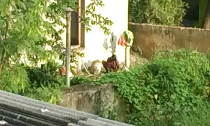 Một mảnh kiếng đen, và một chặt chẽ mới ăn mặc dải off đẹp và phim sex không che nhat ban từ từ trước máy quay và chậm thấy hình dạng của mình. Các cô gái nửa khoả thân nằm trên ghế dài và quyến rũ chạm vào mình khắp nơi lồi, quay mông từ bên này sang bên kia và cho thấy một cặp của lớn tươi to lắc họ và mỉm cười ngọt ngào.
