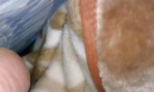 Các đơn độc, bê cái tổ chức cuộc họp của họ nhiều năm sau đó, vì vậy họ đã uống rất nhiều, và muốn tình yêu và tình cảm. sex nhat ban full hd khong che Khi gọi một dịch vụ đặc biệt, các cô gái say rượu được mời đến một trai bao tiệc tùng cho một tập thể. Ngay sau khi các chàng đến, họ mời ông rượu sâm banh và bắt đầu cởi quần áo. Những con búp bê đã biến hút anh ta, sau đó một cuộc truy hoan bắt đầu trong căn hộ với đồi trụy tình dục và màu thực phẩm.